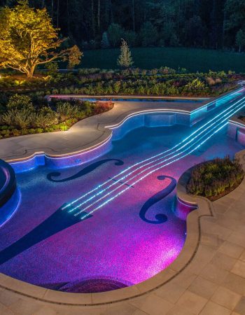 swimming-pool-landscaping-ideas-bergen-county-northern-nj-cipriano-landscape-design-and-custom-swimming-pools-img~d6f1f0570266b0eb_14-7573-1-2ce0218